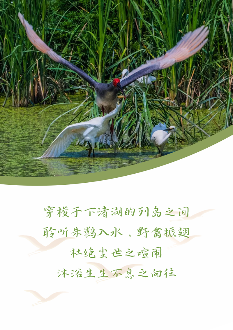 心心念廿 相伴pp电子 | 与德清相约 贺廿载诞辰