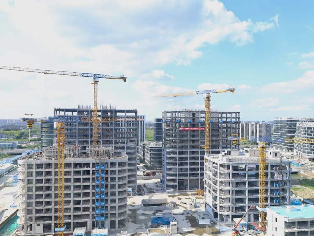 同心同向 造炬成阳 | pp电子股份2024年第三季度动态速览 同心同向 造炬成阳 | pp电子股份2024年第三季度动态速览