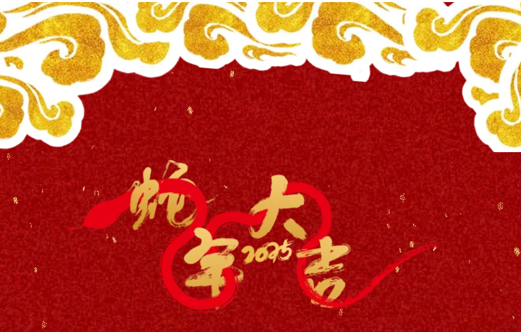 锐意突破 新征启程 | pp电子股份2025年会盛典顺利召开